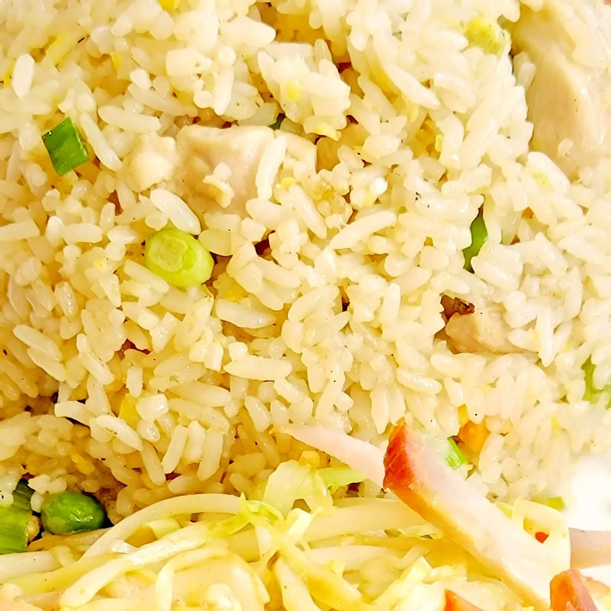 Pork Chow Mein & Chicken Fried Rice
