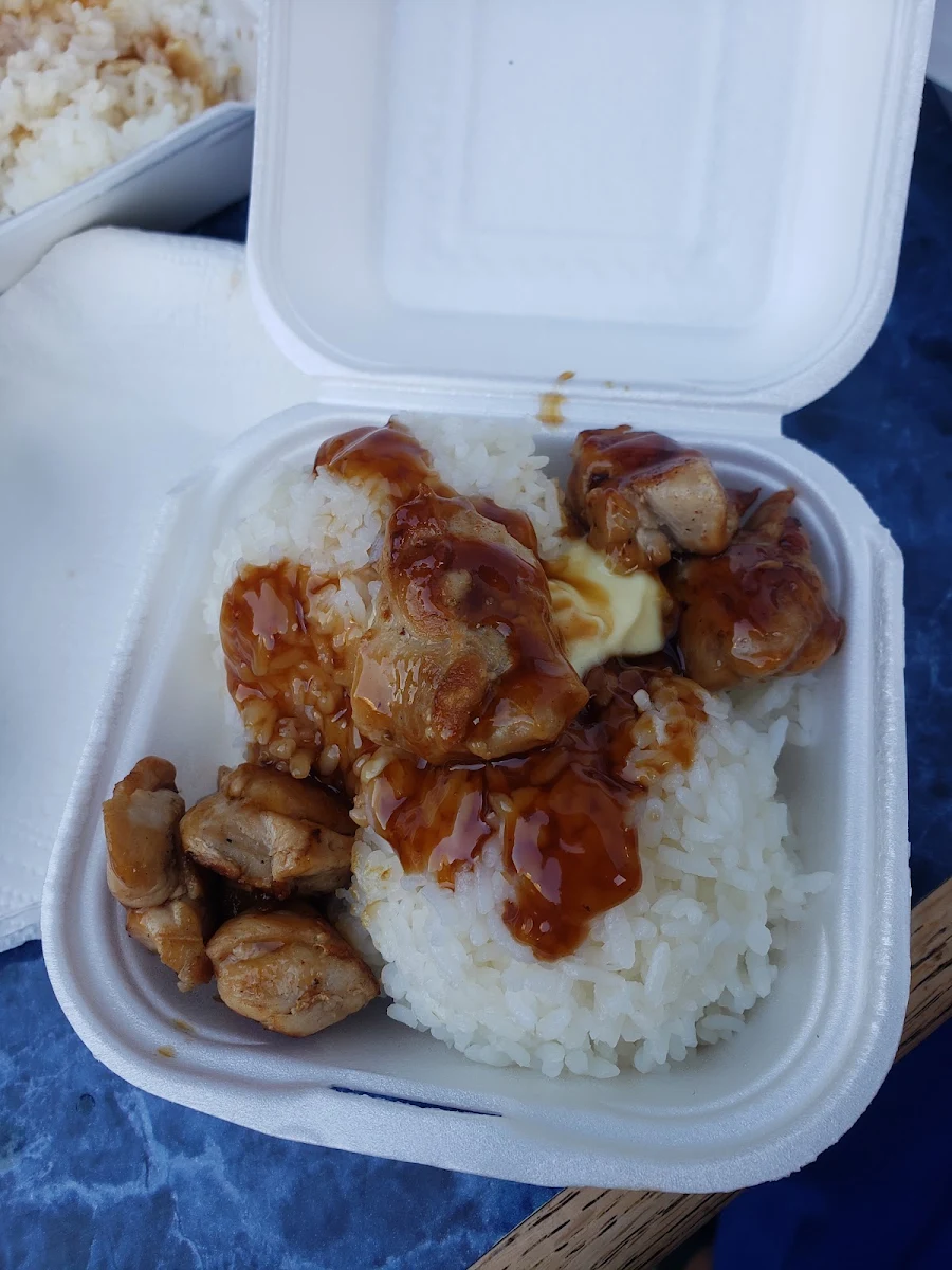 Chicken Teriyaki on White Rice