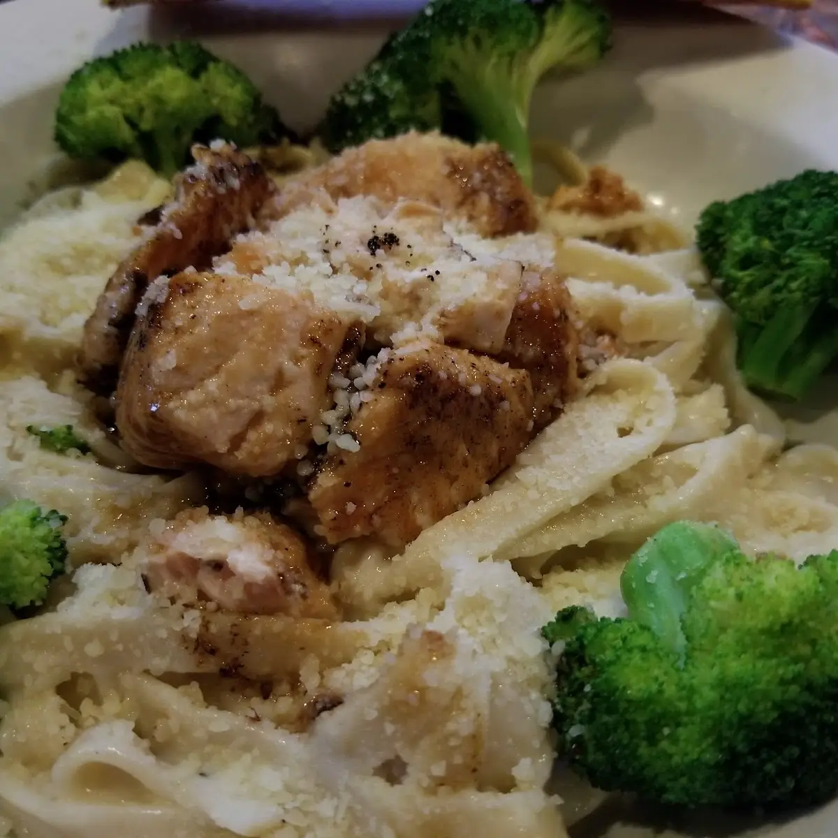 Chicken Broccoli Alfredo