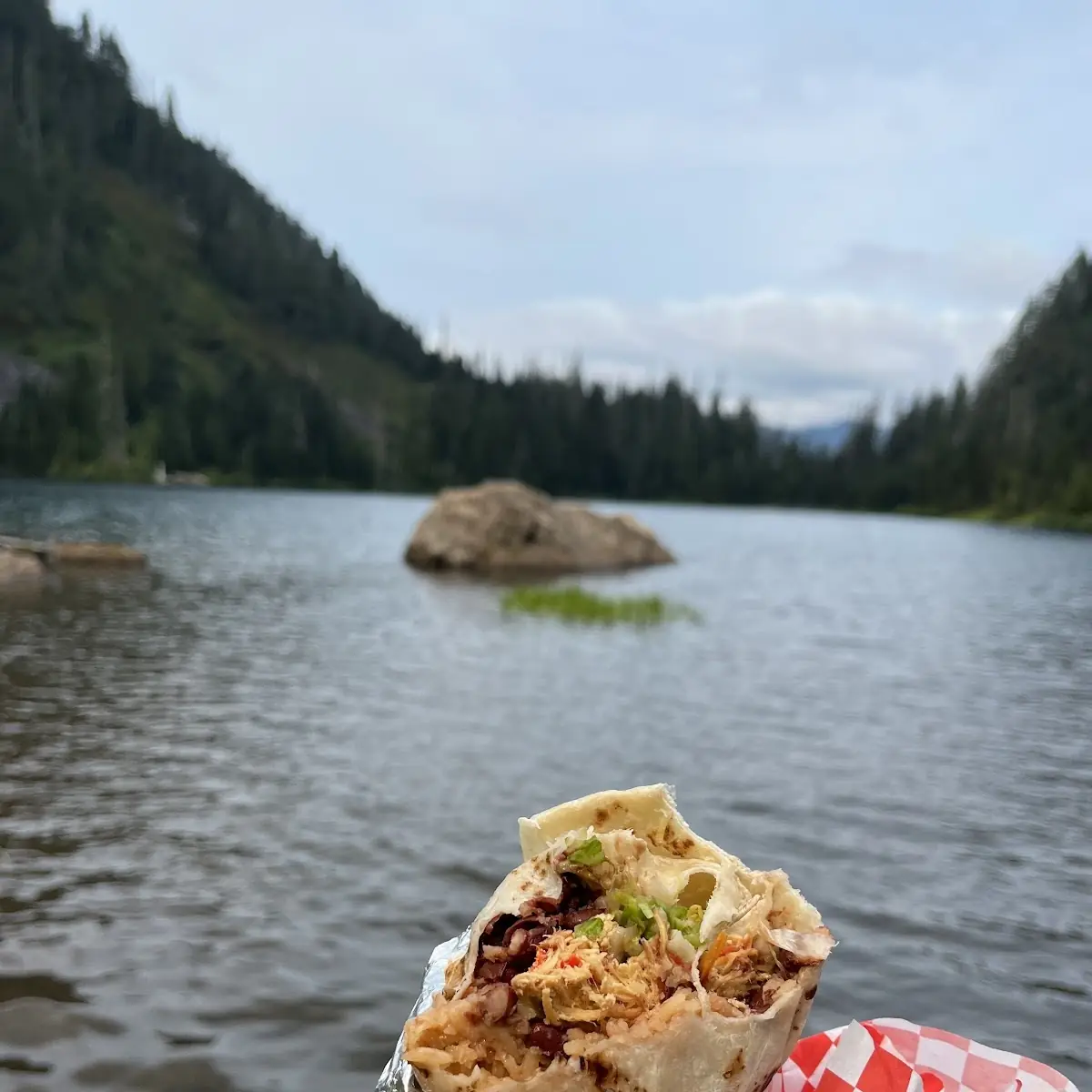 Chicken Burrito