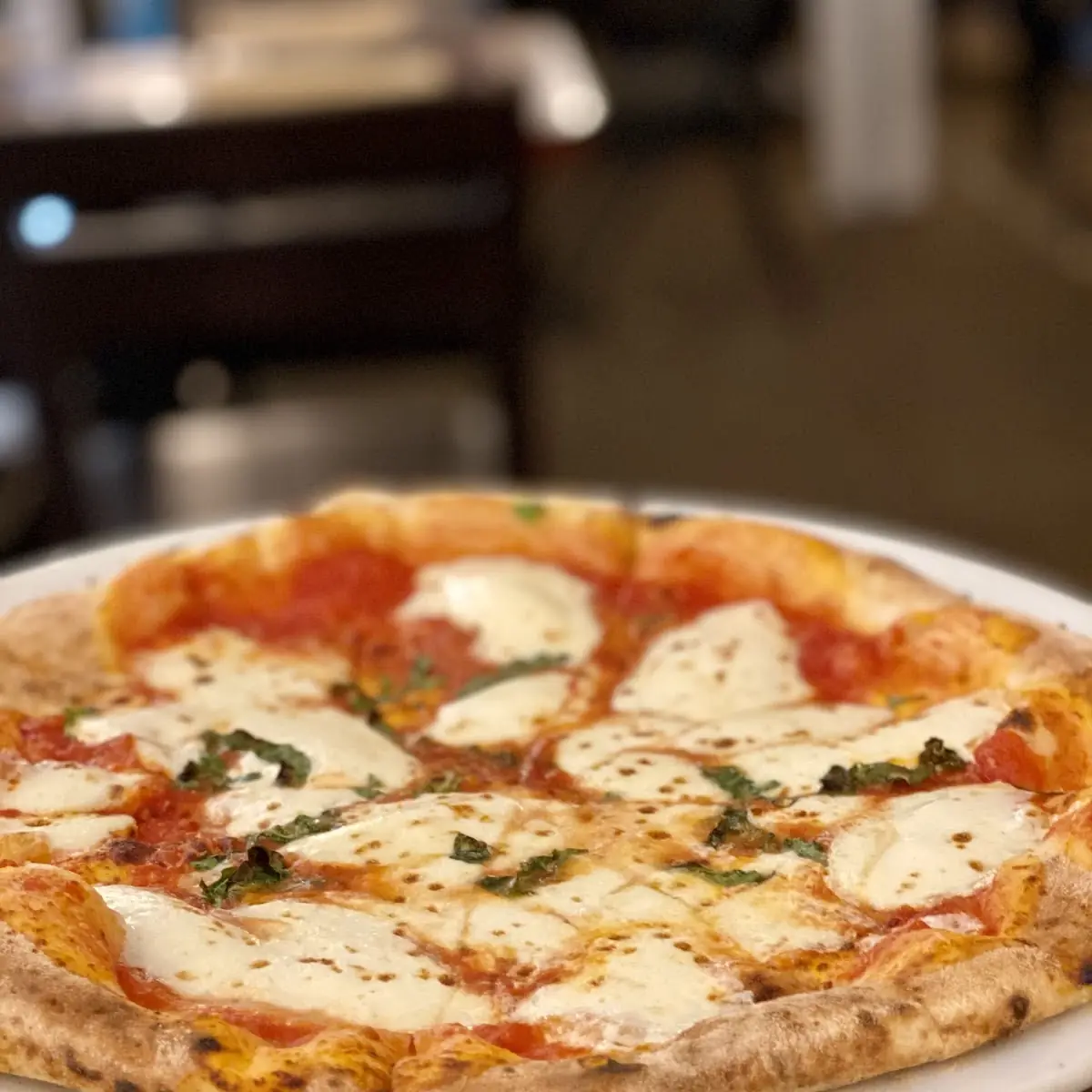 Pizza Margherita