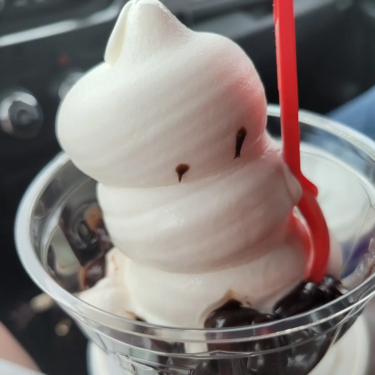 Hot Fudge Sundaewith Whip Creme