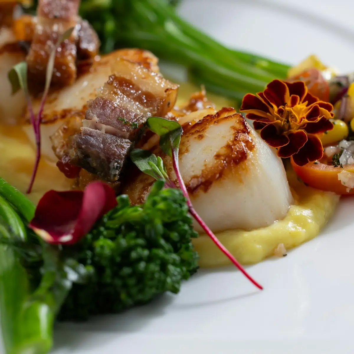 Ancho Chile Seared Scallops