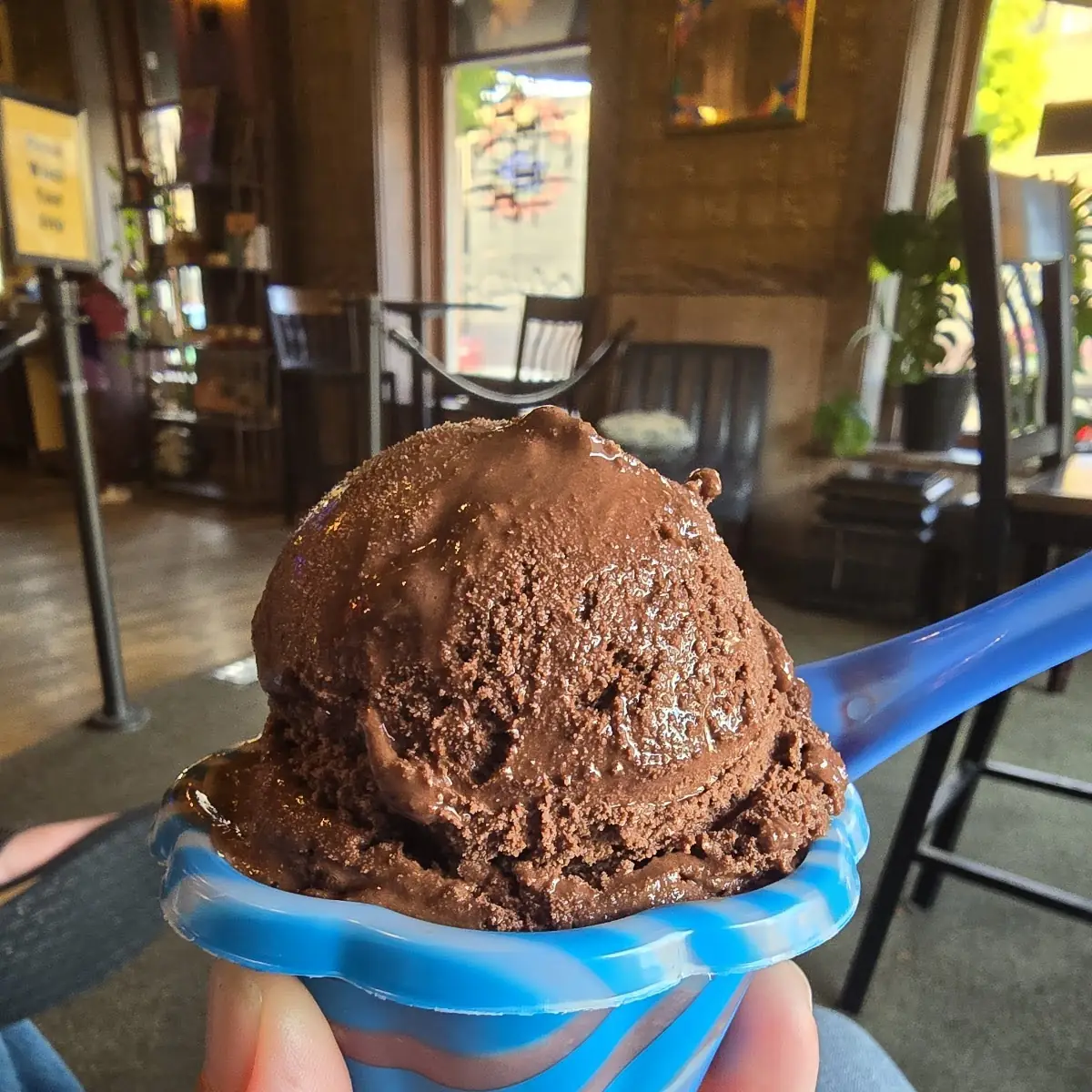 Chocolate Ice Cream