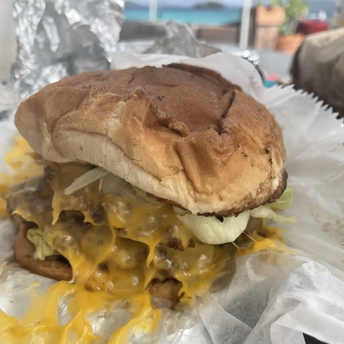 Double Cheeseburger