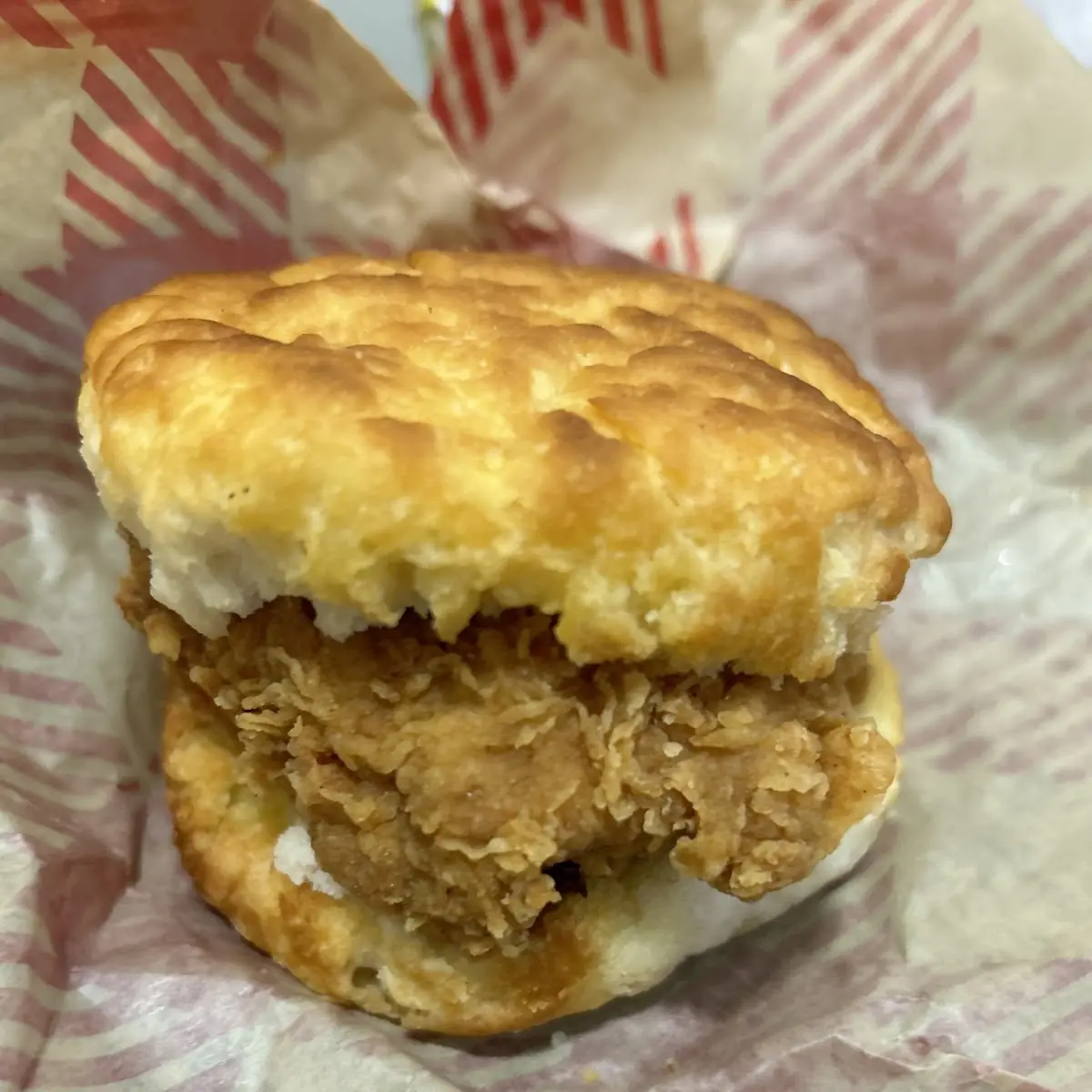 Chicken Biscuit