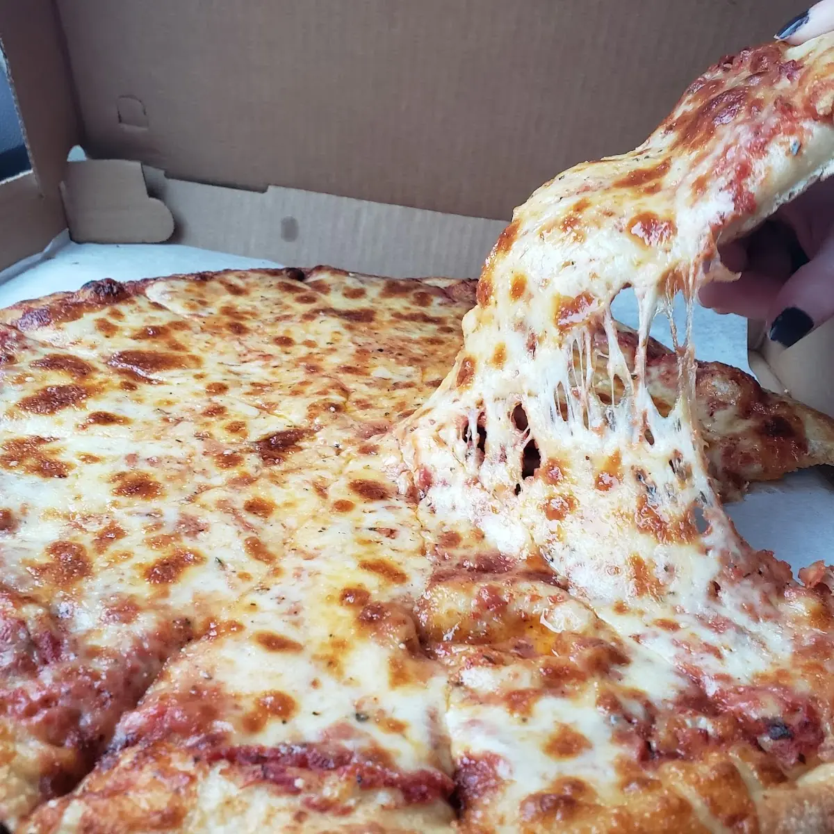 Cheese Pizza