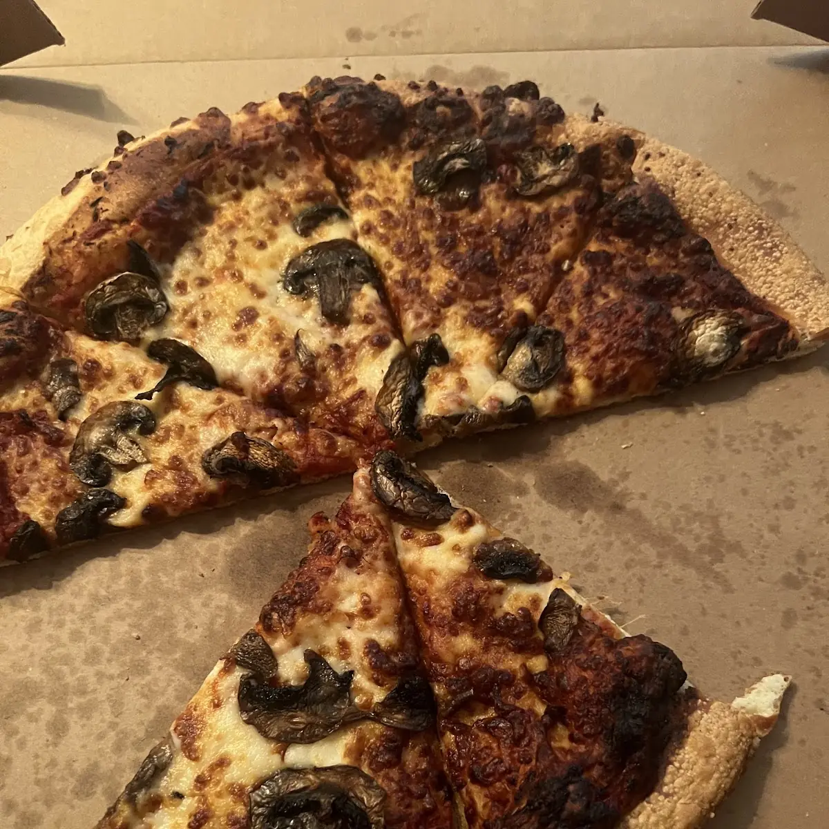 Burnt Mushroom Pizza