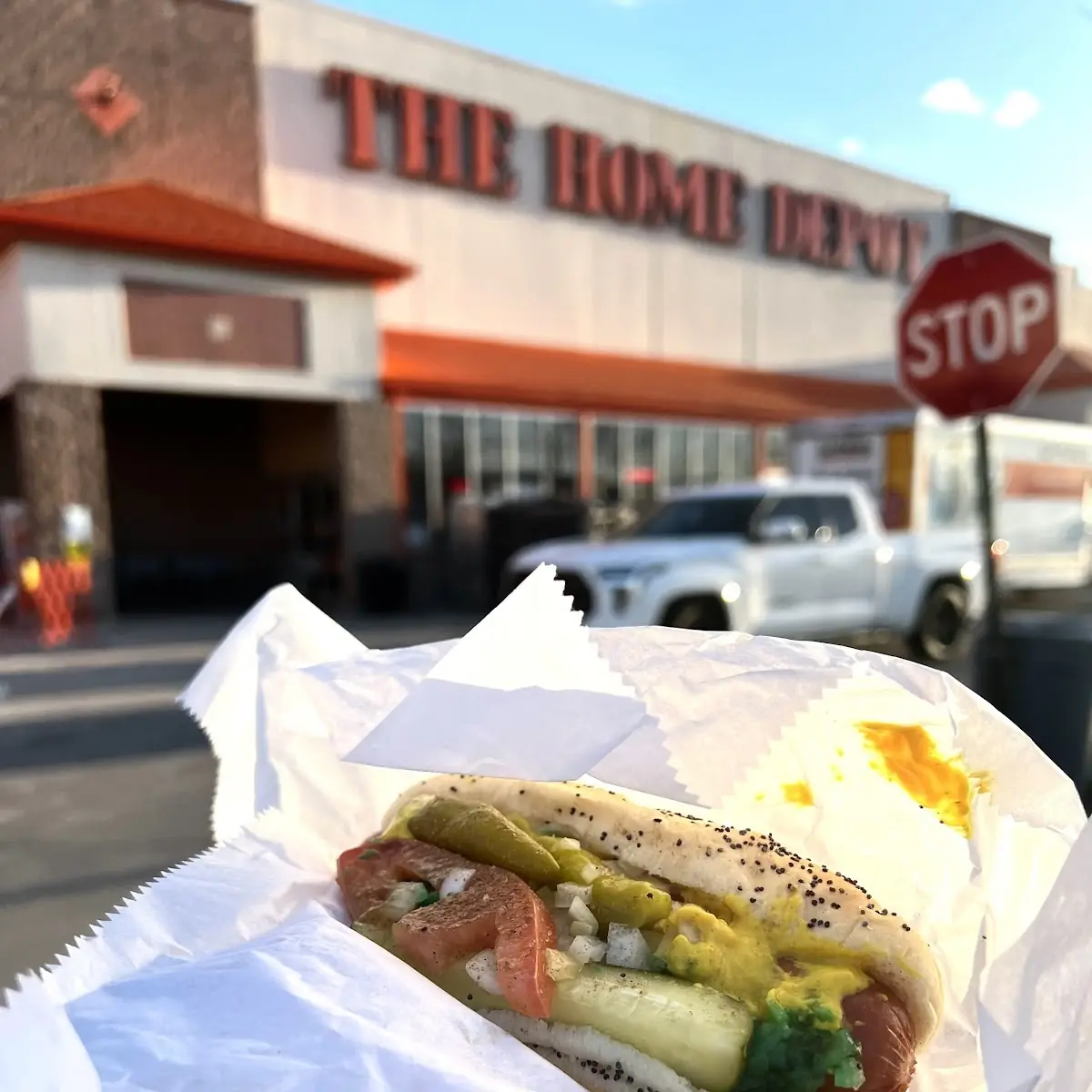 Chicago Dog