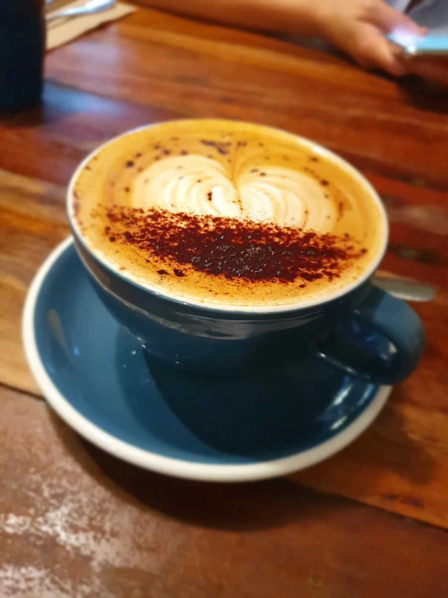 Cappuccino, The Happy Wombat