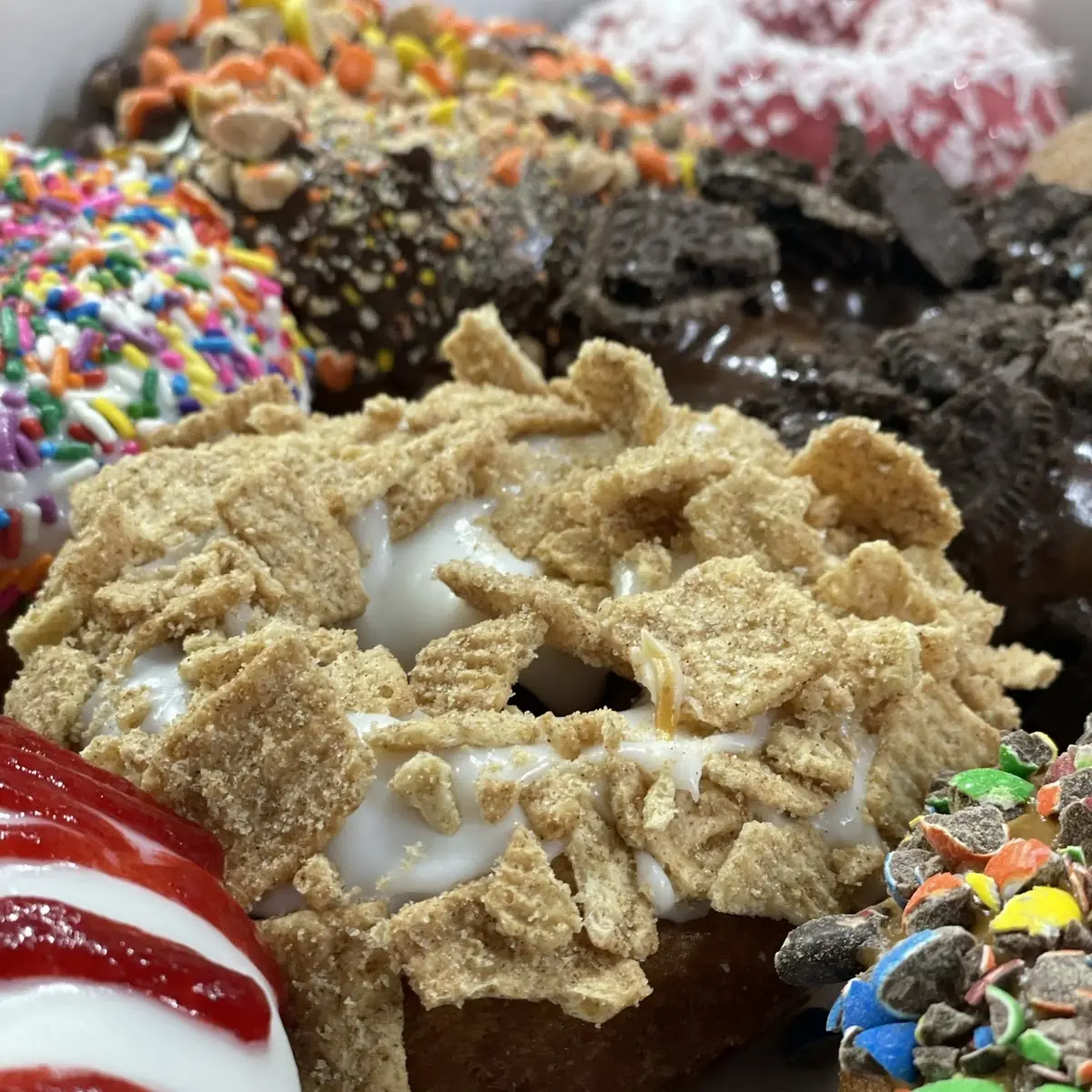 Doughnut