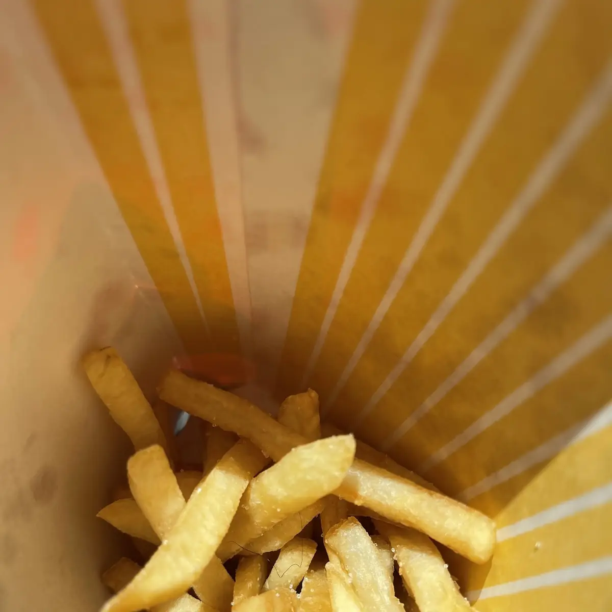 World Famous Fries