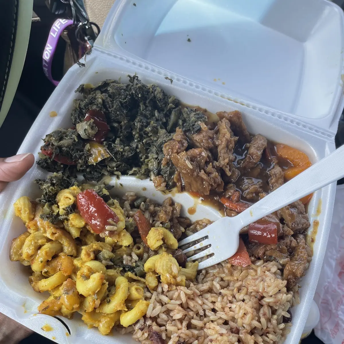 Stew with Rice and Mac and Cheese