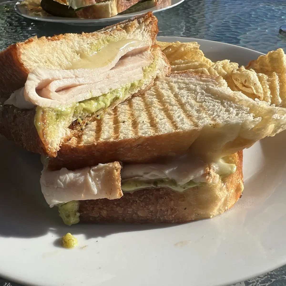 Turkey Pesto Panini