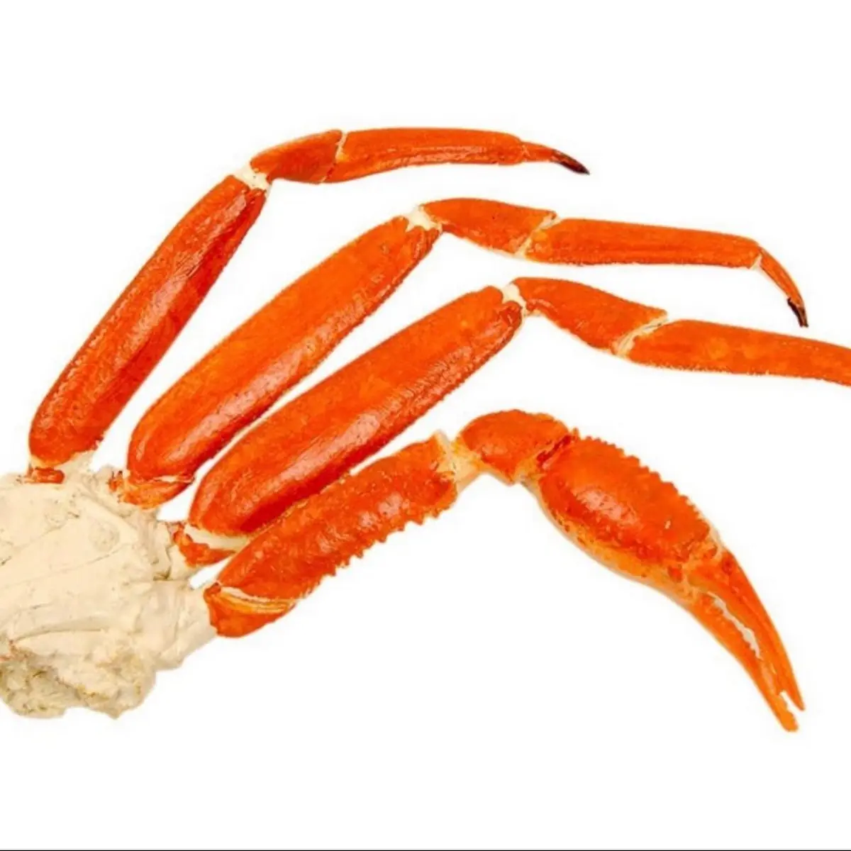 2 Snow Crab Cluster