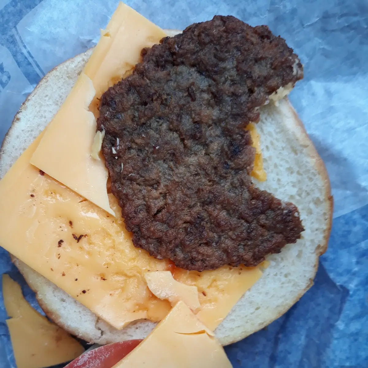 Cheese Burger It Was Like Leather