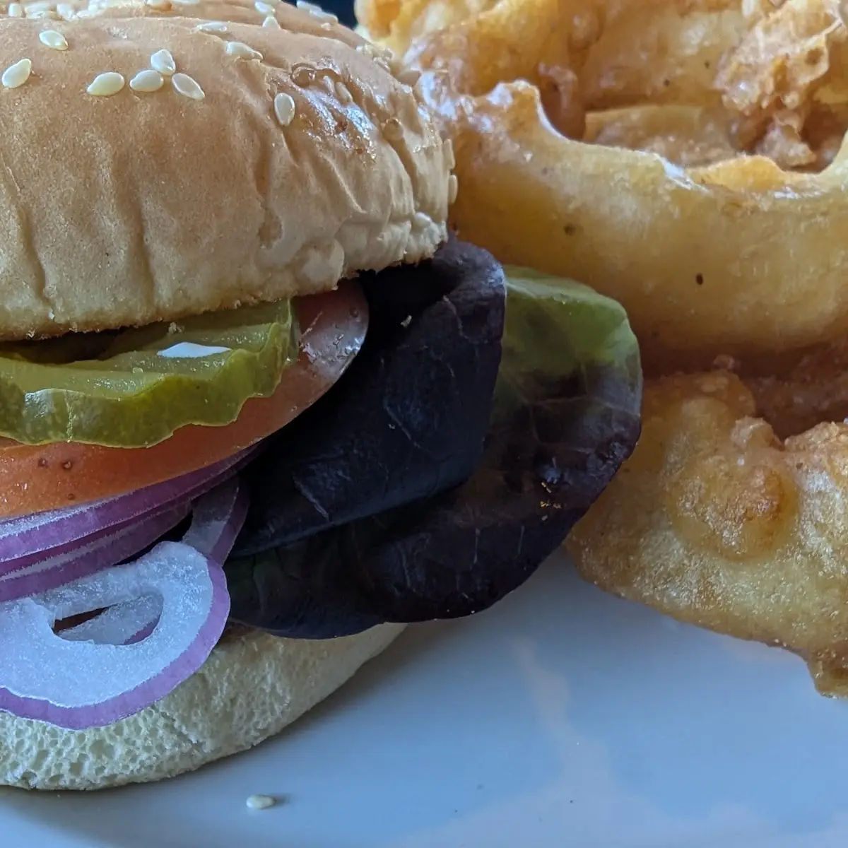 Crispy Chicken Sandwich and Onion Rings