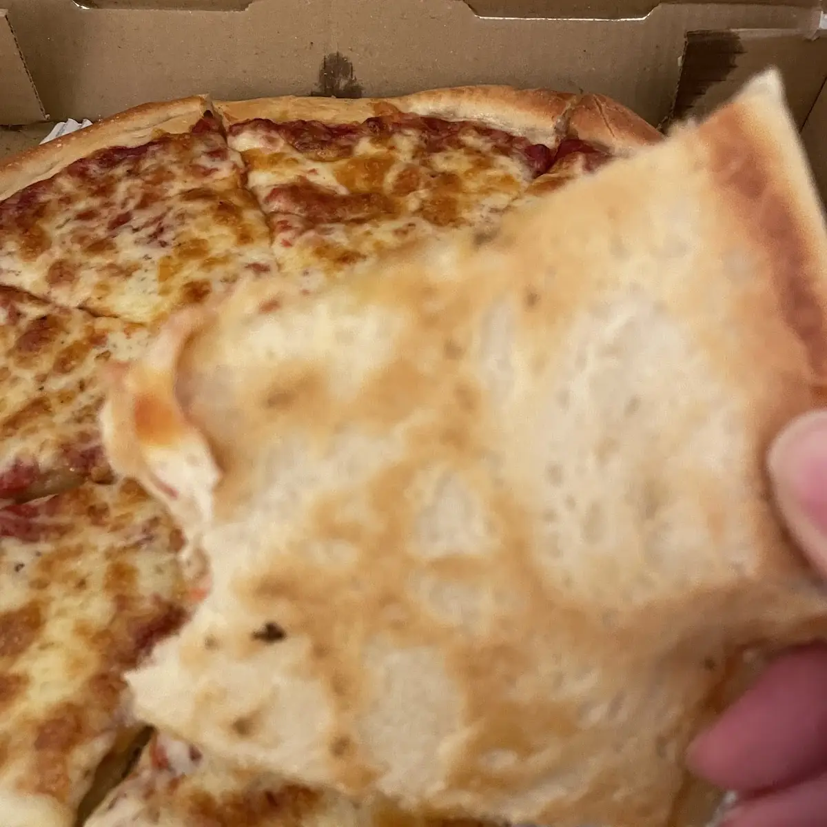 Plain Pizza