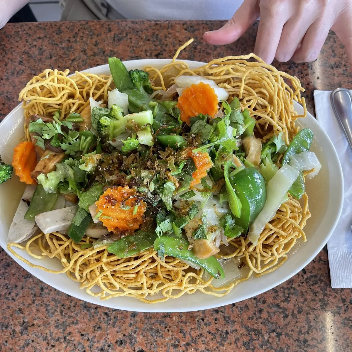 Fried Noodles with Veggies