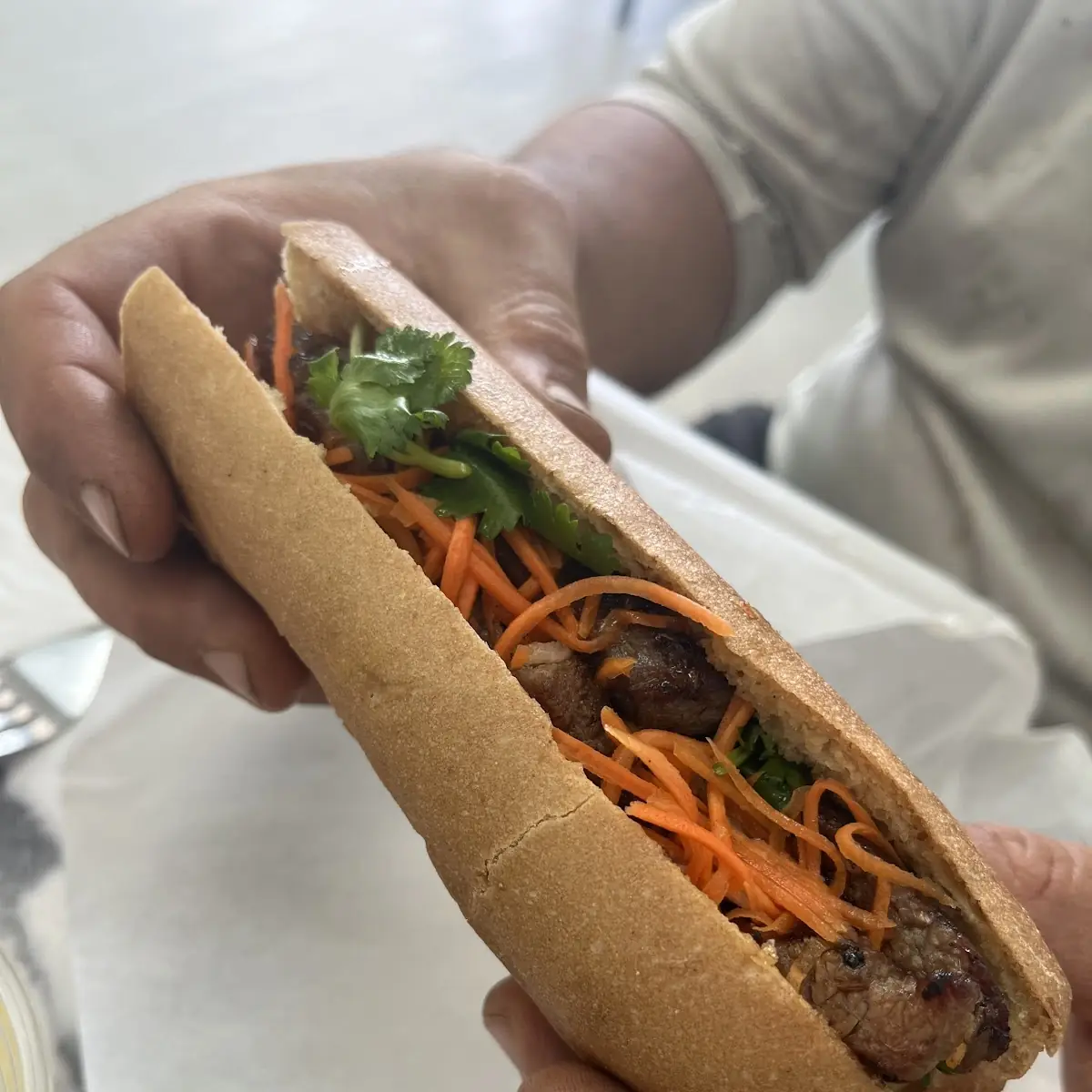 Grilled Steak Sandwich
