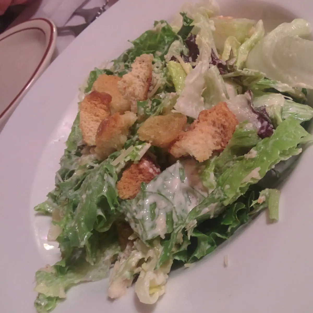 Garden Salad Caesar Salad