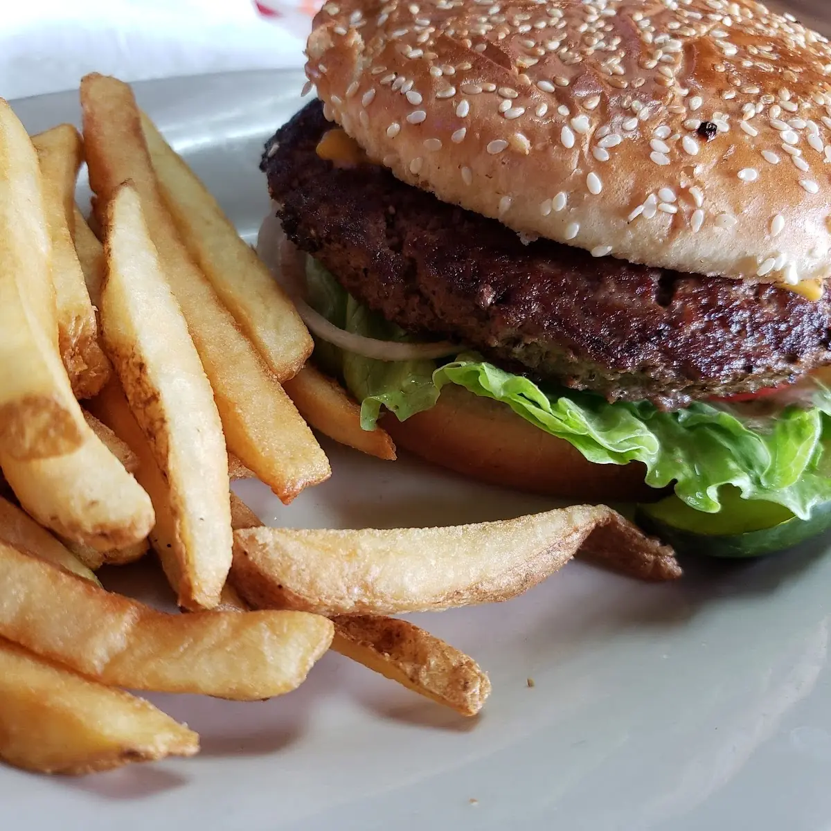 Volburger & Seasoned Fries