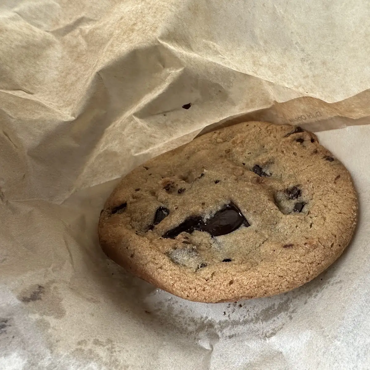 Chocolate Chip Cookie
