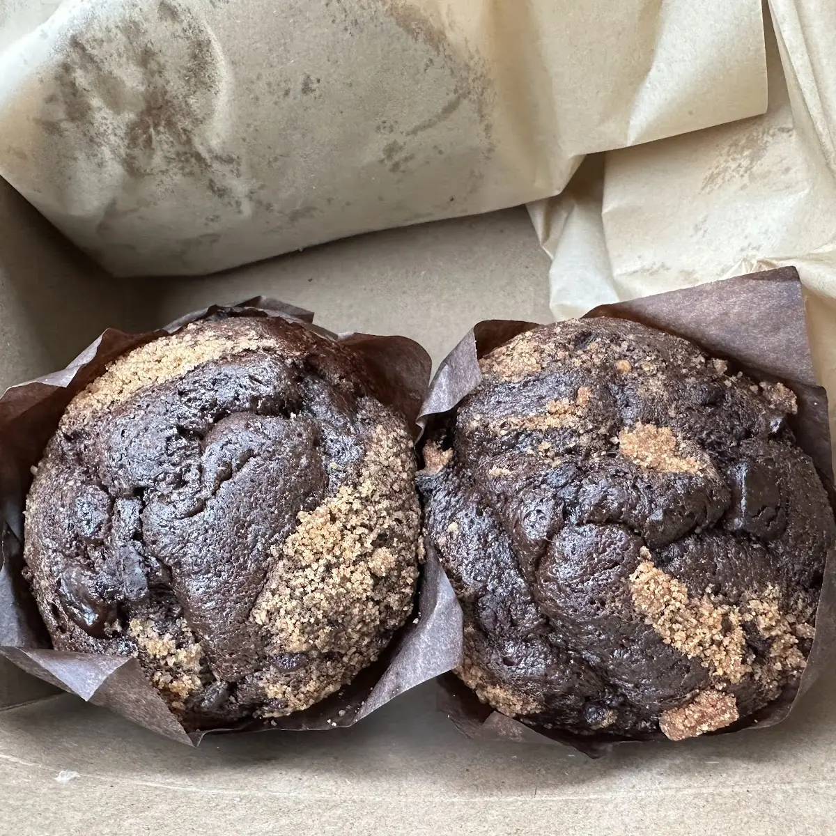Double Chocolate Muffin