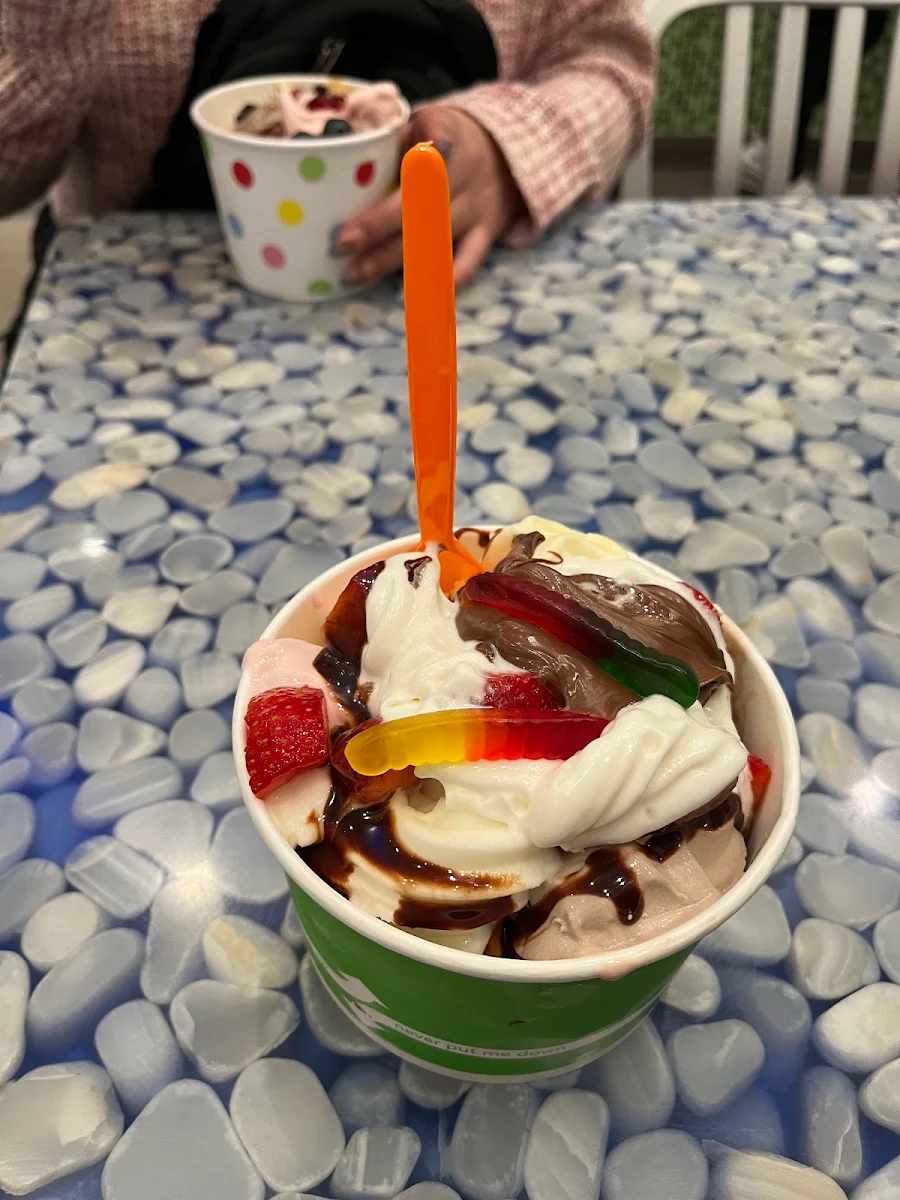 Frozen Yogurt with Assorted Toppings