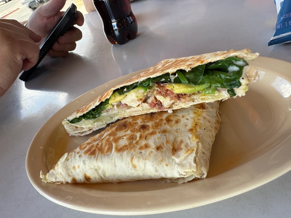 Chicken Panini
