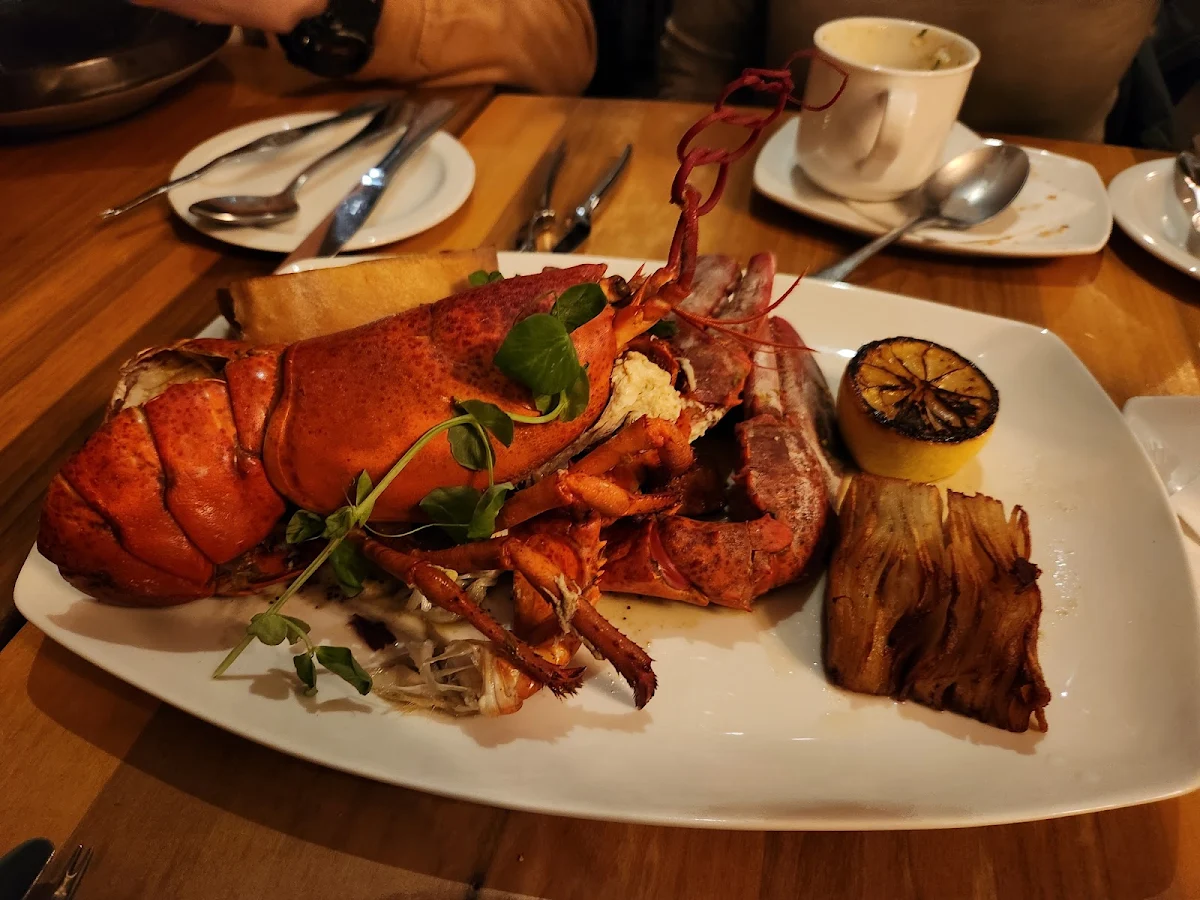 Daily Lobster Feature MP