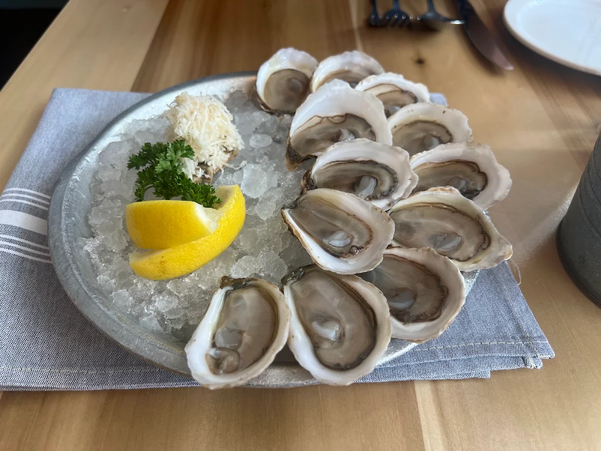 Half Dozen Oysters