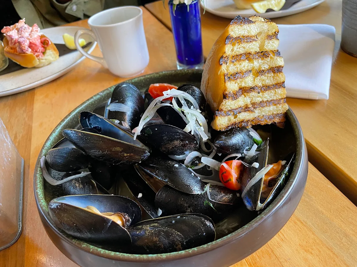Steamed Mussels