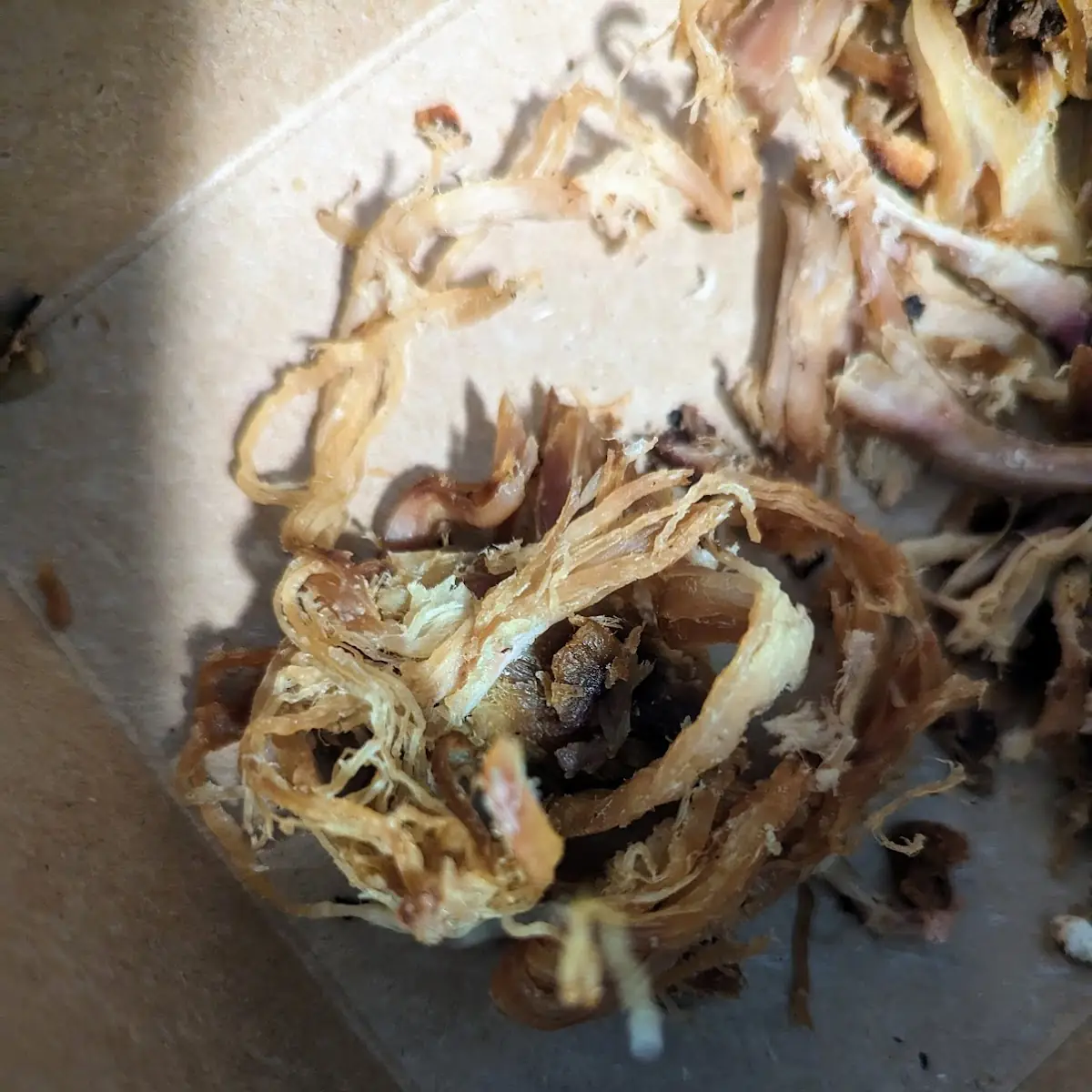 Pulled Pork