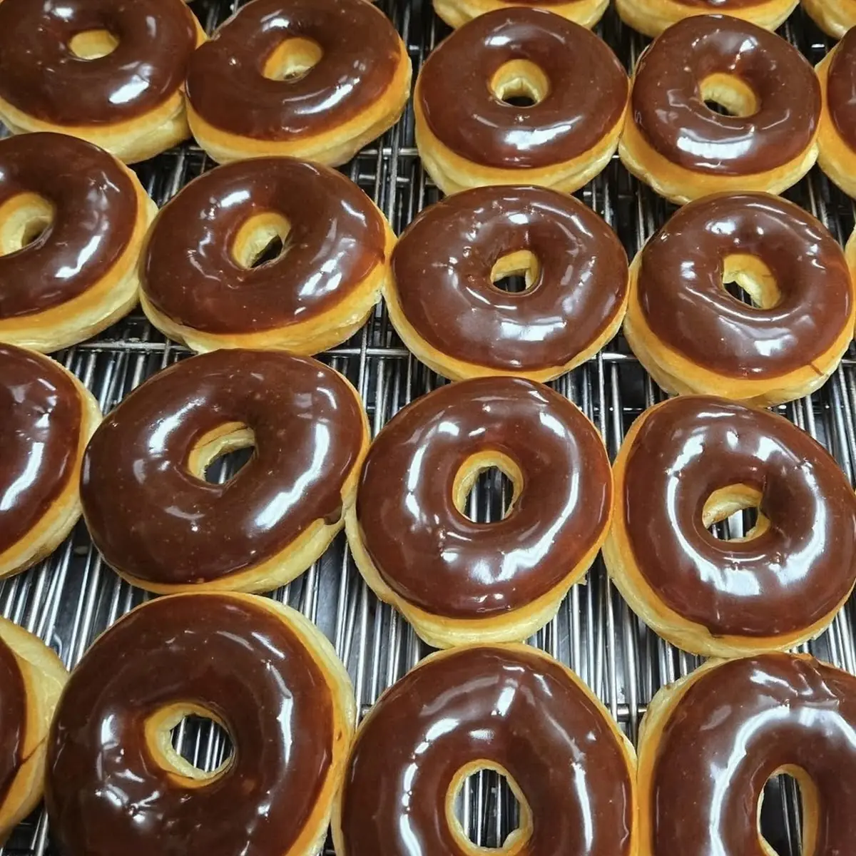 Doughnut