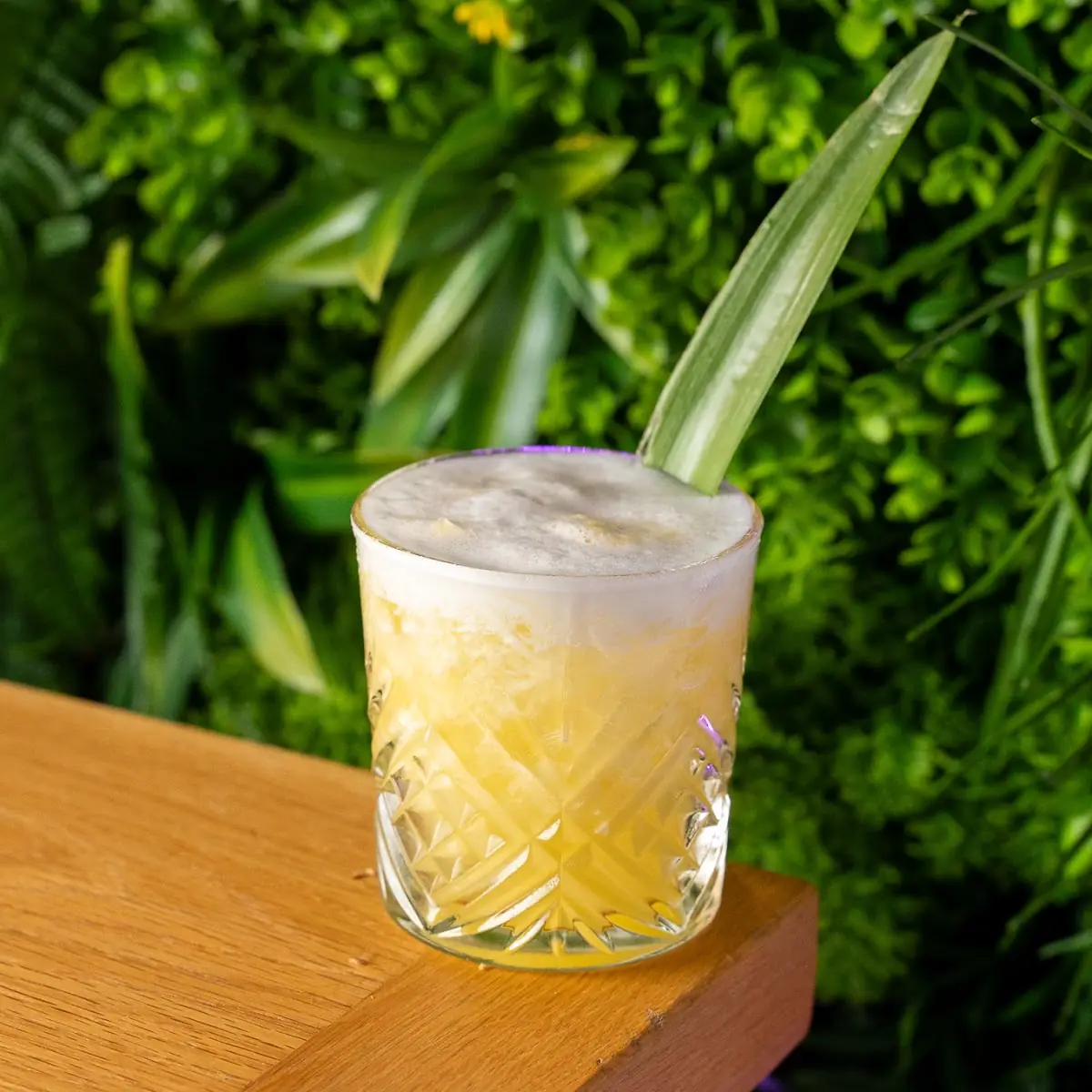 Pineapple Caipirosca, La Favella