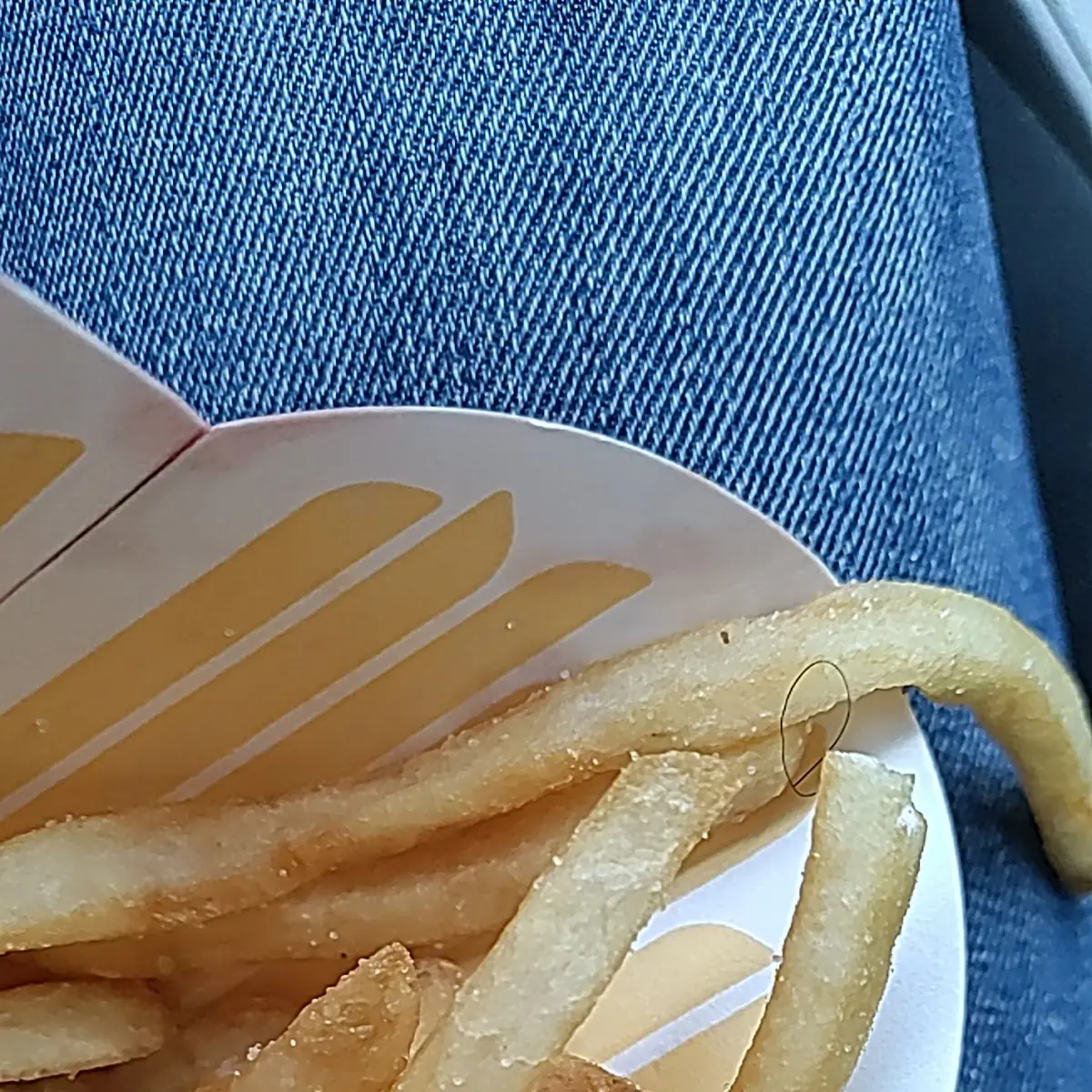 World Famous Fries