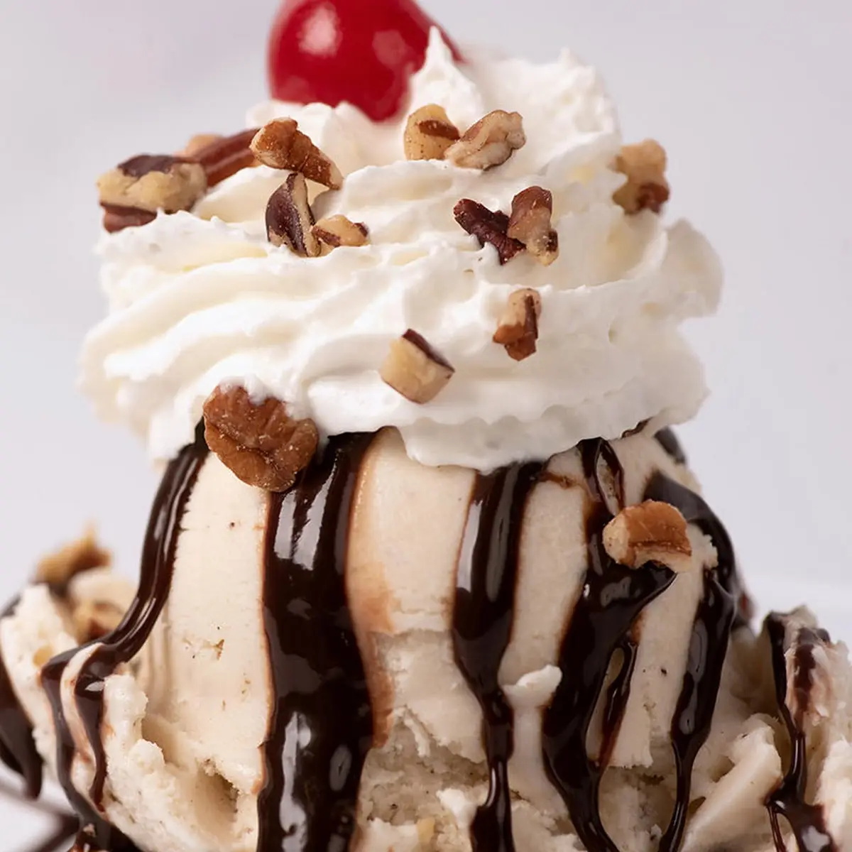Turtle Sundae