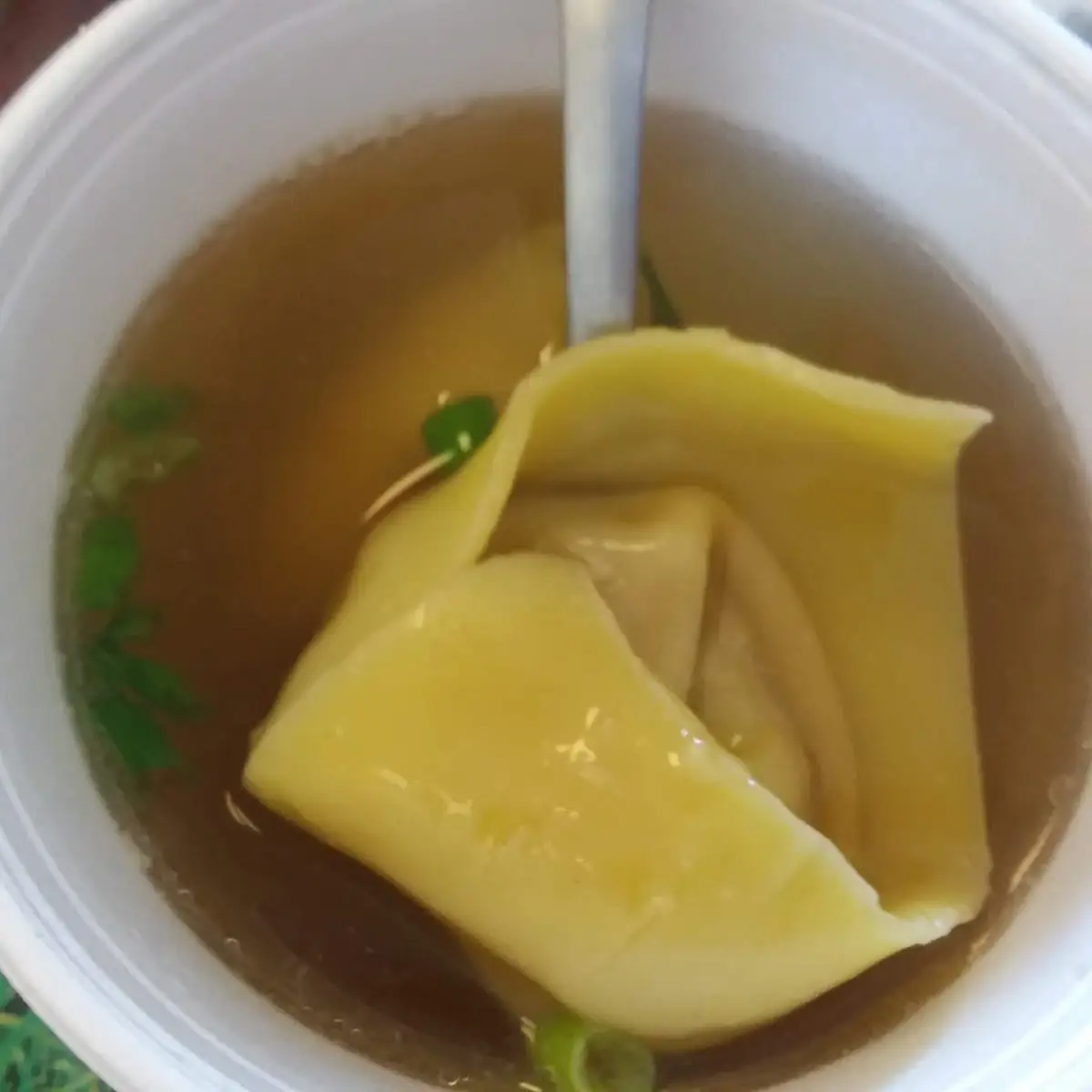 Wonton Soup