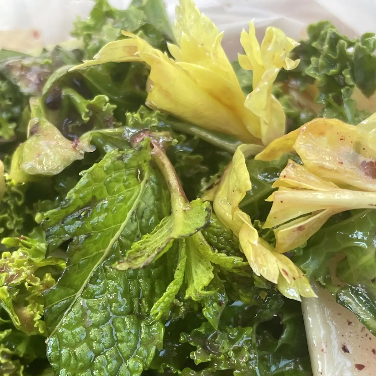 Antioxidant Salad Supposedly