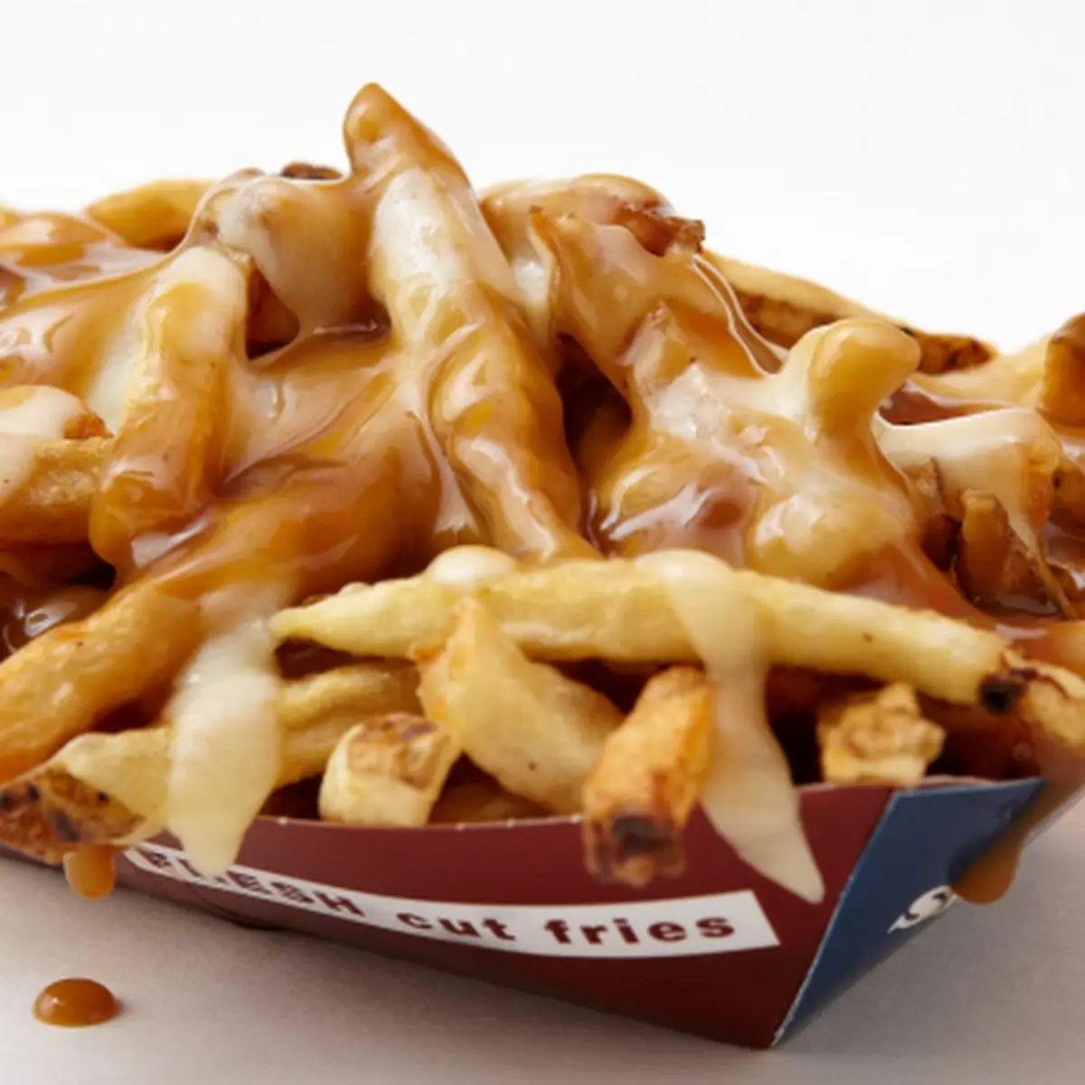 Gravy Loaded Fries