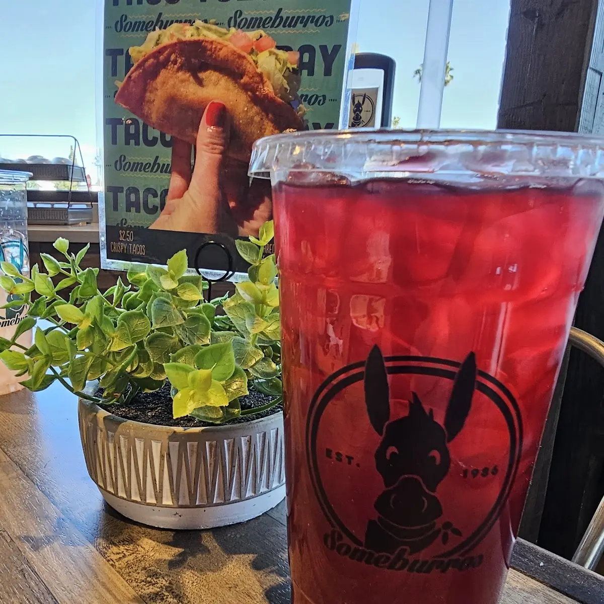 Hibiscus Tea