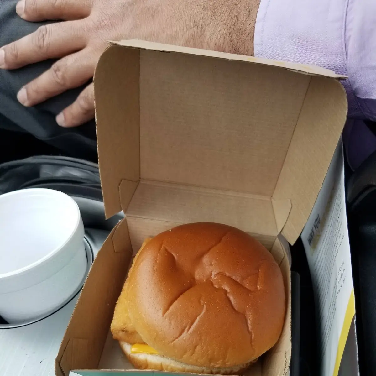 Filet O Fish Sandwich