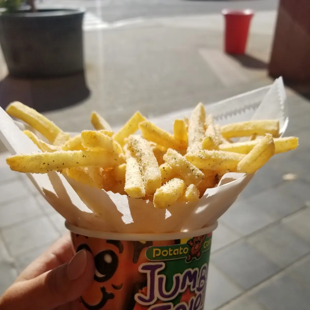 Sour Cream and Onion