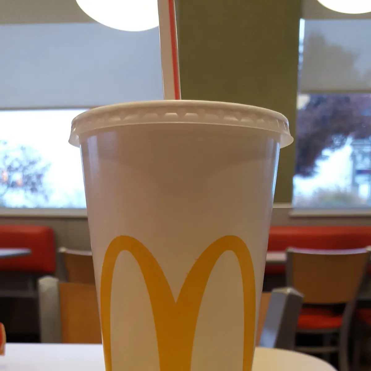 Large Fountain Drink
