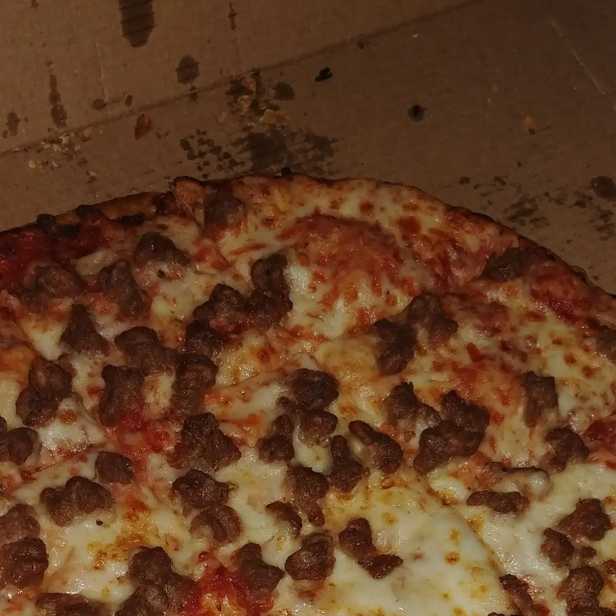Thin Crust Pizza with Hamburger