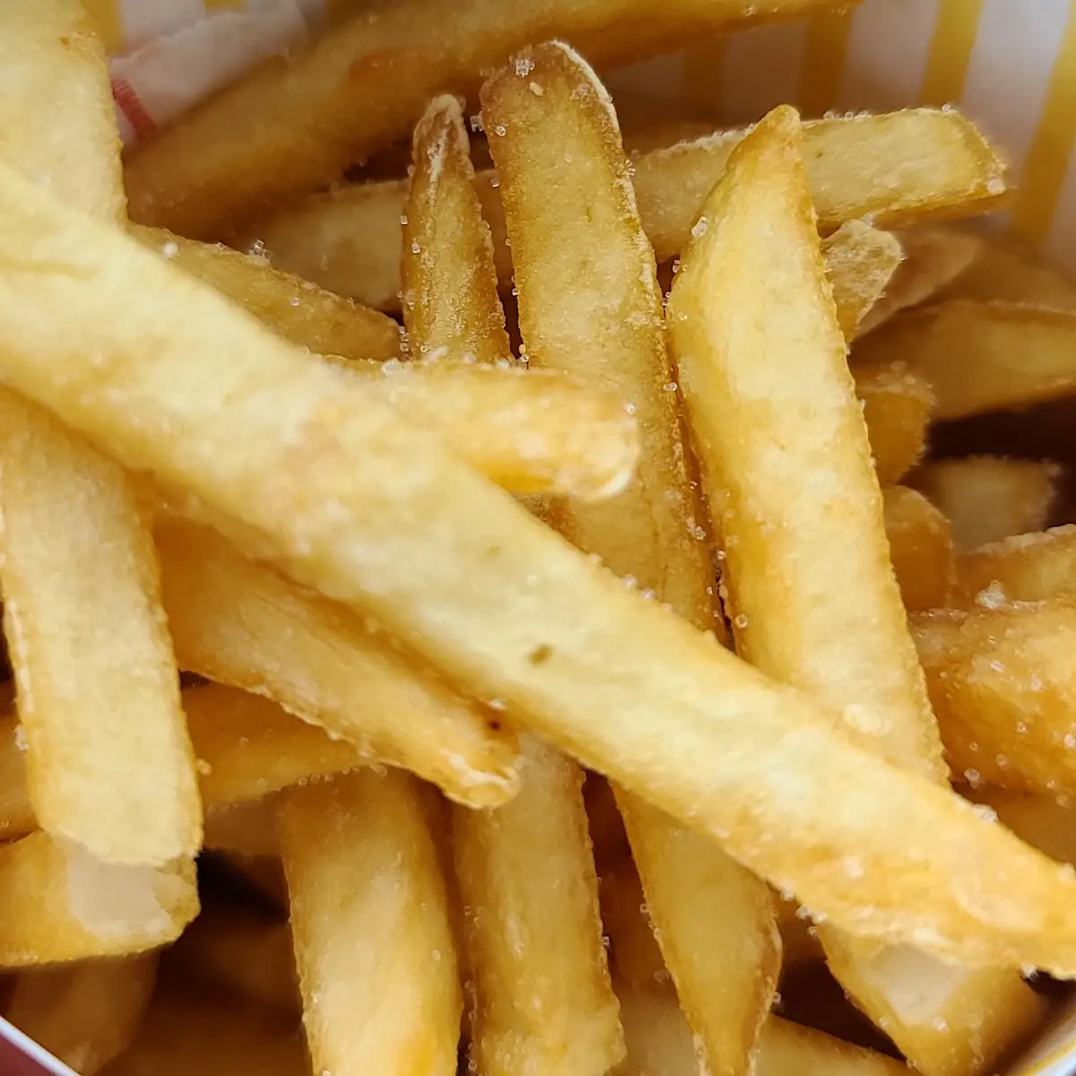 World Famous Fries