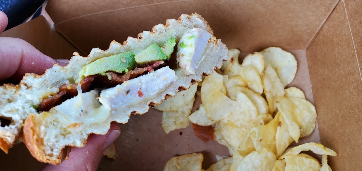 Chicken Avocado with Munster Pannini and Chips