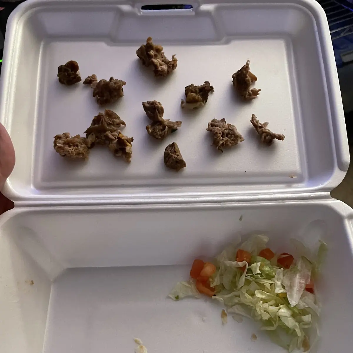 Carne Asada Burrito