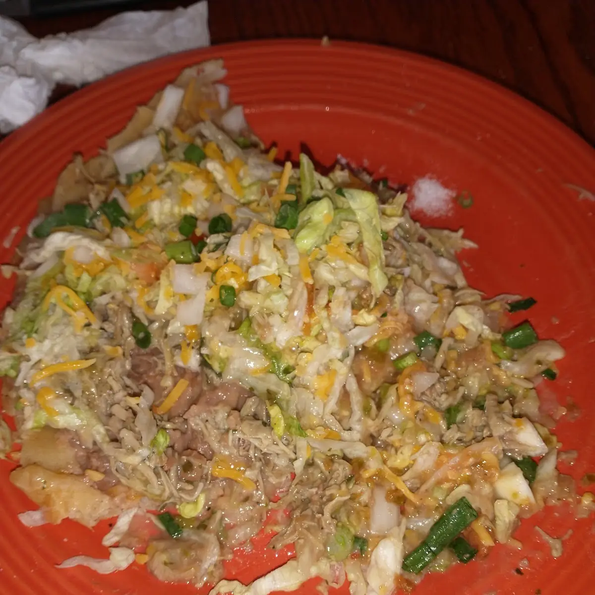 Fry Bread with Shredded Pork with Green Chile